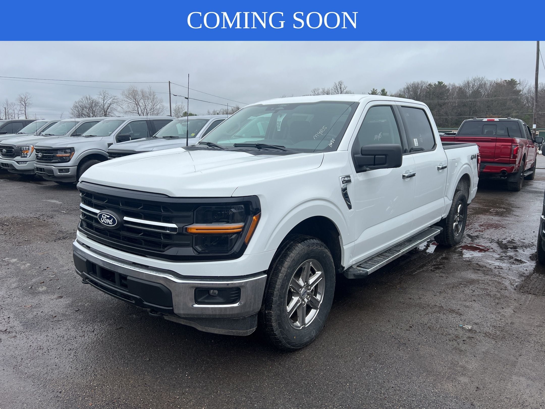 2025 Ford F-150 XLT