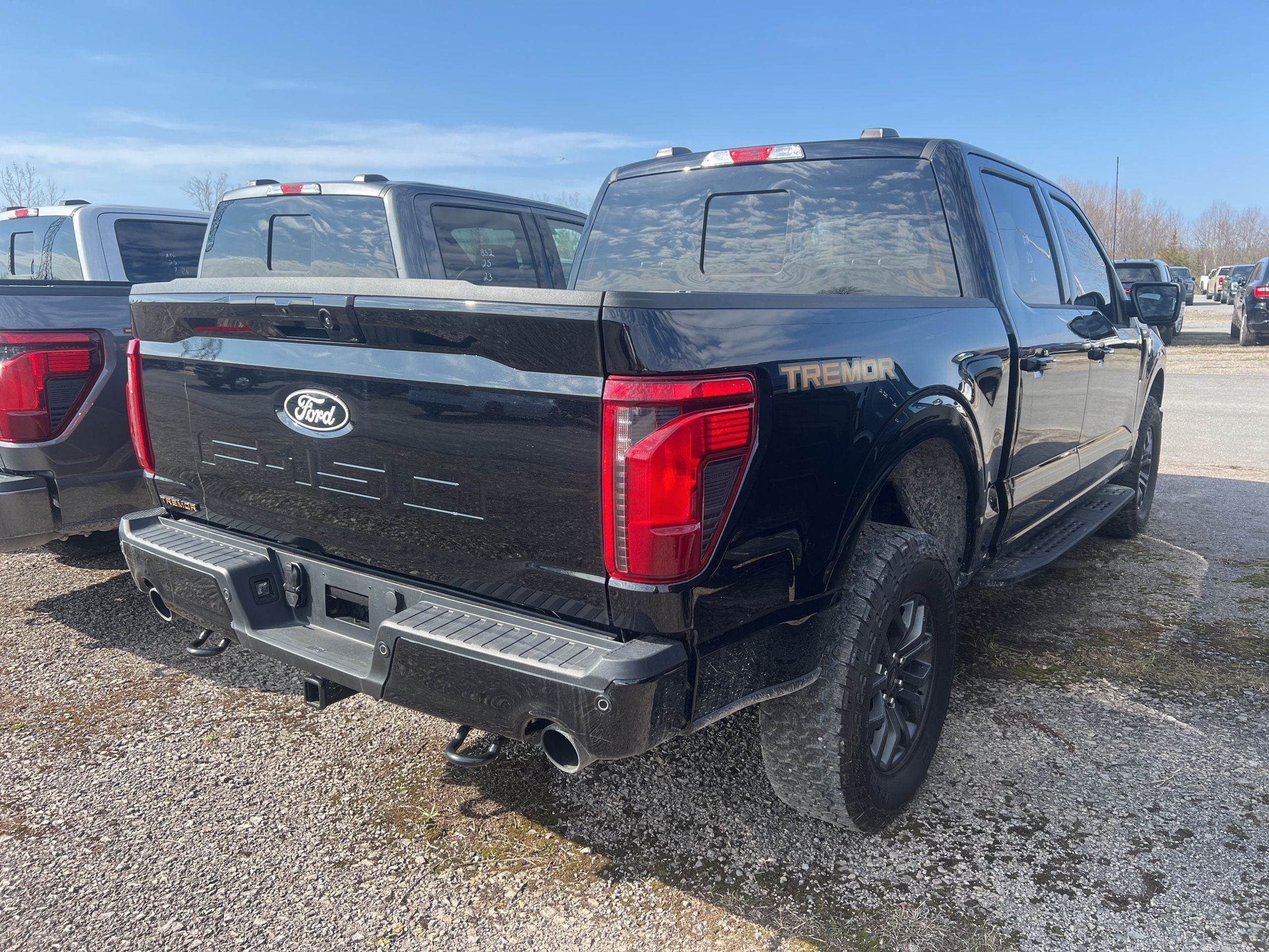 2025 Ford F-150 Tremor