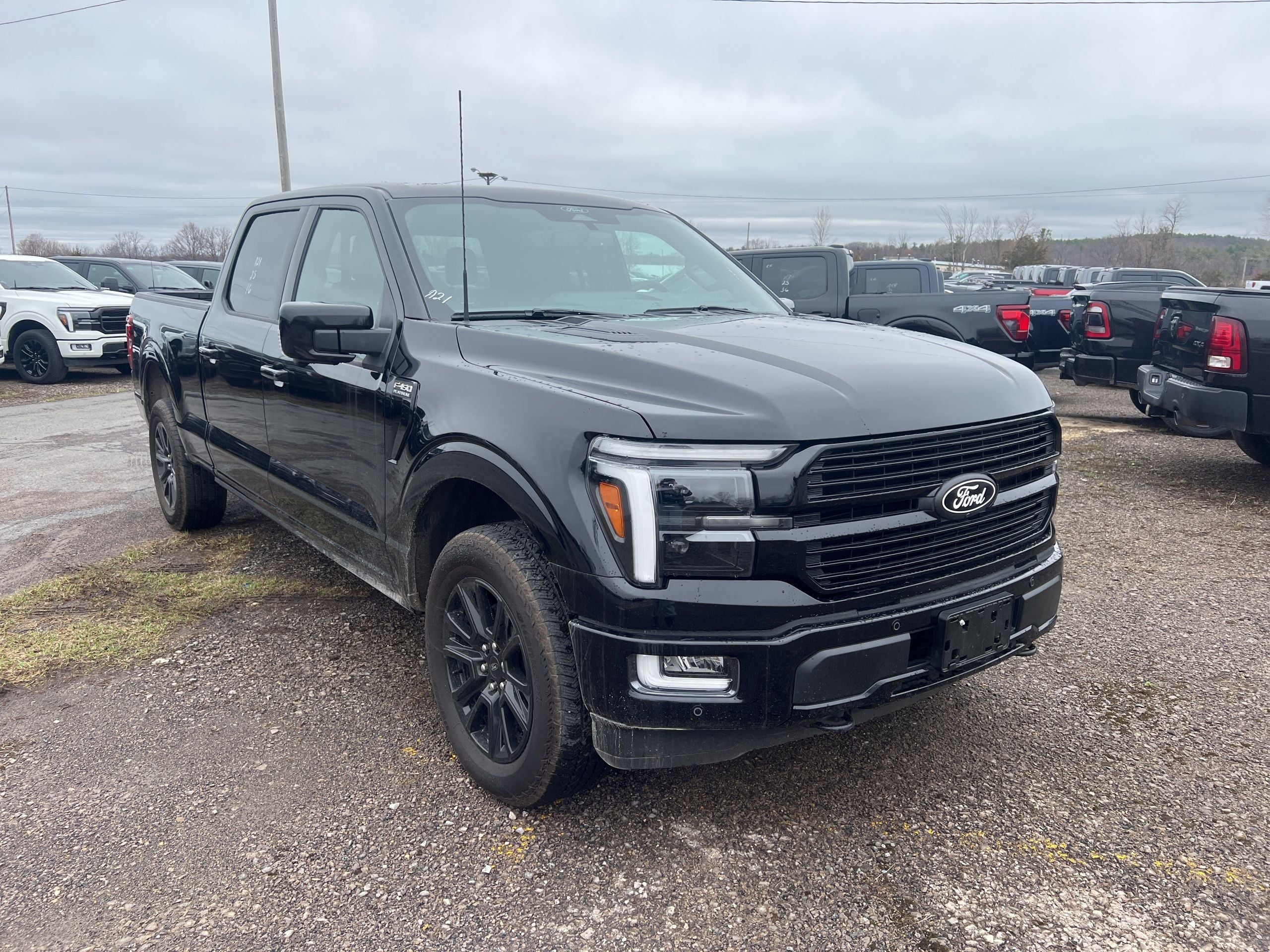2025 Ford F-150 Platinum