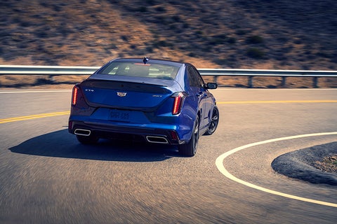 Davidson Cadillac of Rome